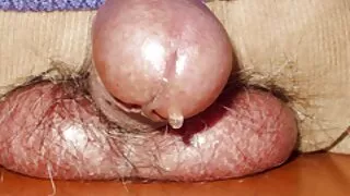 મીન ગુજરાતી સેકસી વીડિયો બીપી શેર્ઝ